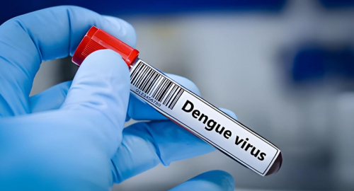 Dengue in Italia, contagi locali quasi sempre entro 400 metri